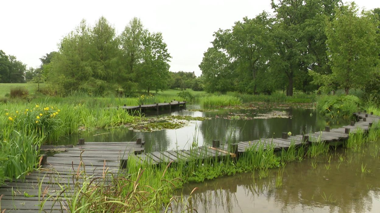 Voyage botanique au parc du Grand Blottereau à Nantes rtbf.be