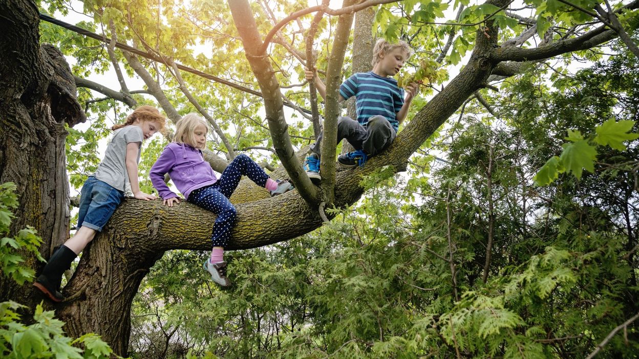 L'importance de nos souvenirs RTBF Actus