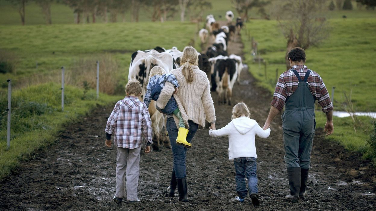 Les Fermes Pédagogiques Pour Découvrir La Vie à La Ferme Rtbf Actus Les Fermes Pédagogiques Pour Découvrir La Vie à La Ferme Rtbf Actus