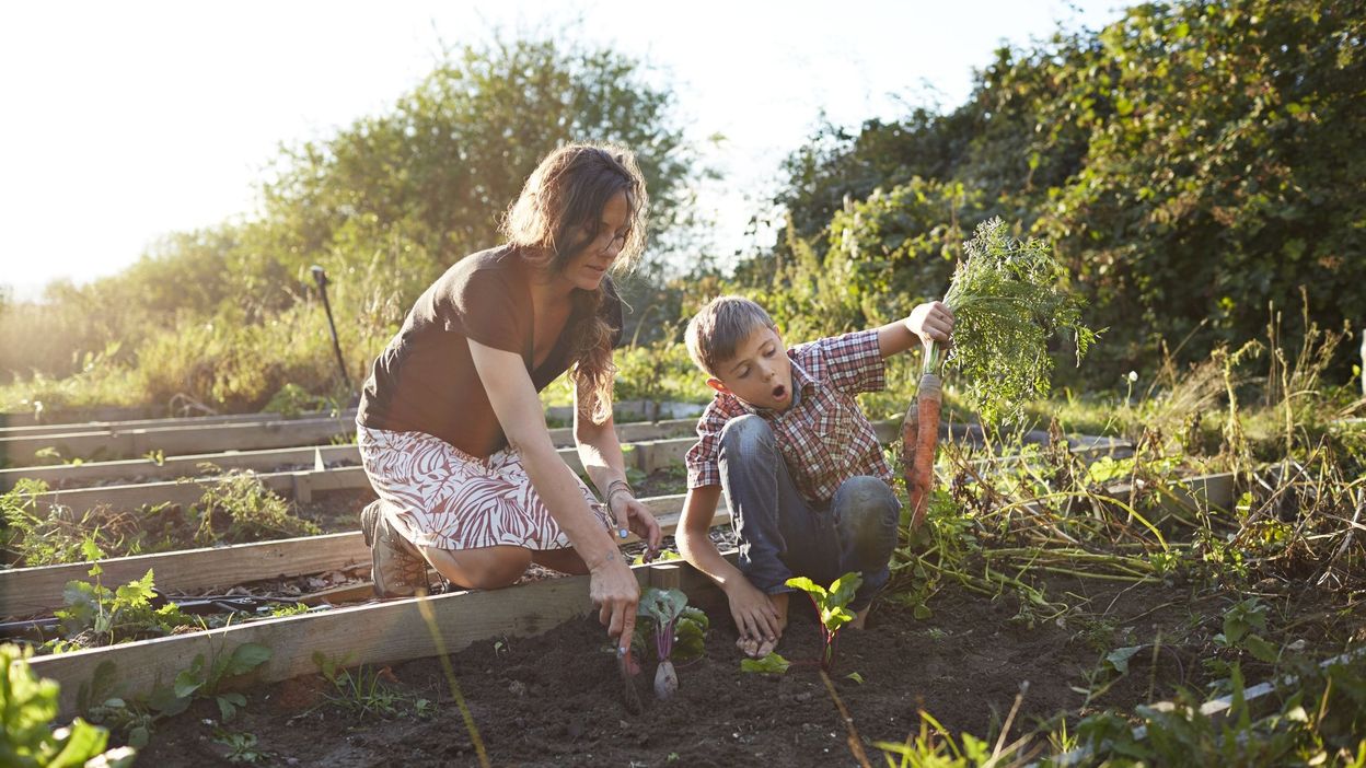 Pourquoi le jardinage nous fait-il autant de bien ?