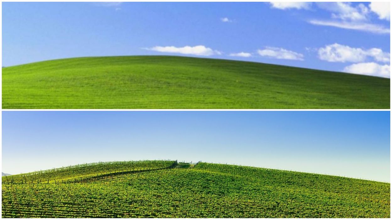 Voici l’histoire et le lieu exact de la célèbre colline du fond d’écran Windows XP RTBF Actus