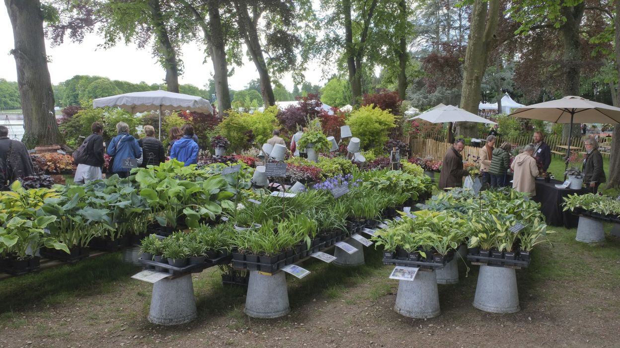 Foire Aux Plantes Lidl 2022