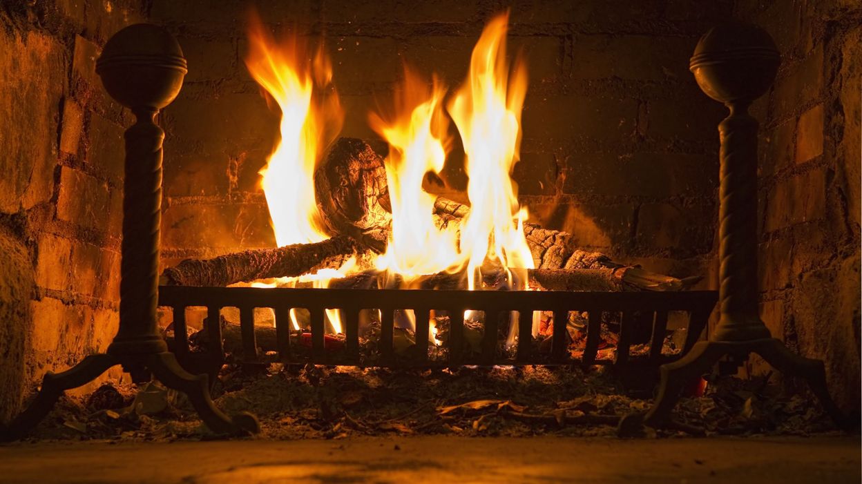 Brûler du bois est-il une alternative à la combustion fossile ?