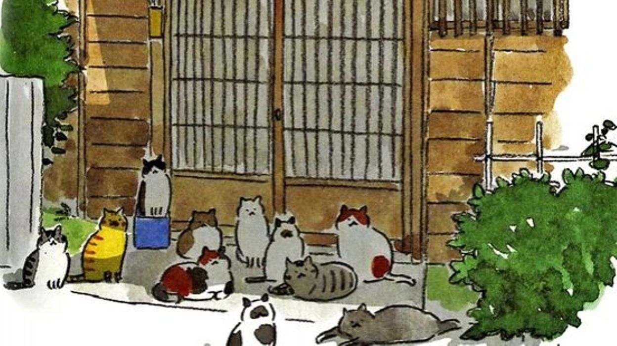 Le Vieil Homme Et Son Chat – toute la tendresse du quotidien - RTBF Actus
