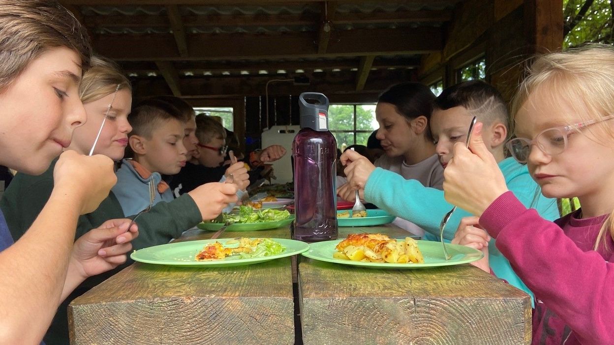 10 astuces pour se débarrasser des mouchettes dans la cuisine RTBF Actus