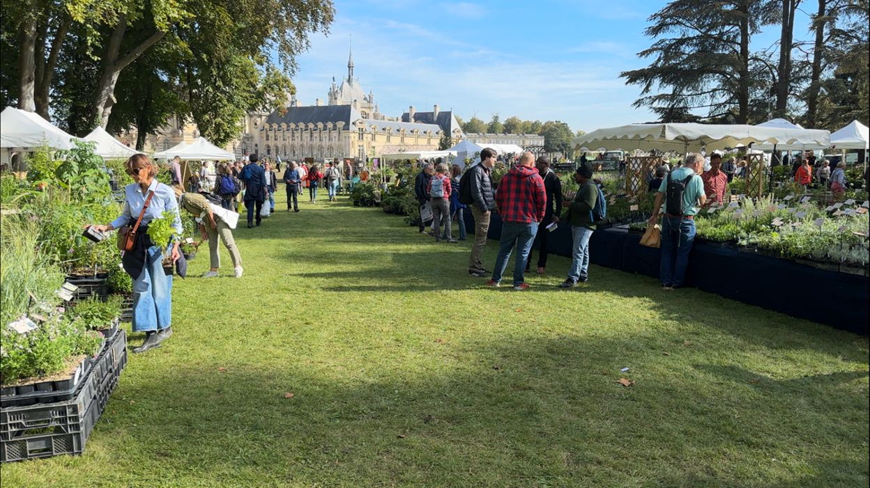 Les Foires Aux Plantes Sont De Retour Le Calendrier Des Rendez Vous Ccf0304d099baecfbe7ff6844e1f6d91 1711922552