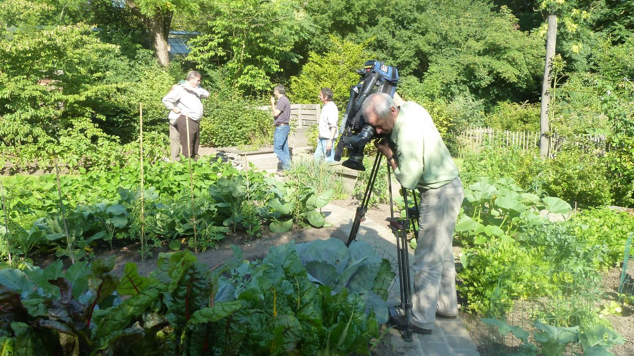 Le Jardin Botanique Jean Massart à Auderghem Rtbf Actus