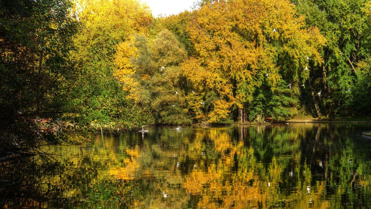 Quand semer les graines? A l'automne aussi? - Le Jardin des Médicinales