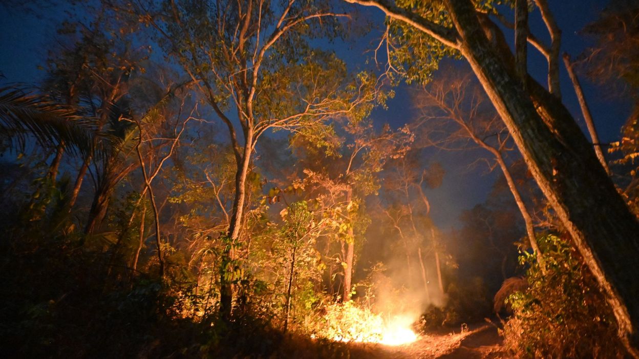 Etats Unis Un Nouveau Feu De Forêt Hors De Contrôle Dans Le Nord De La Californie Rtbf Actus 9063