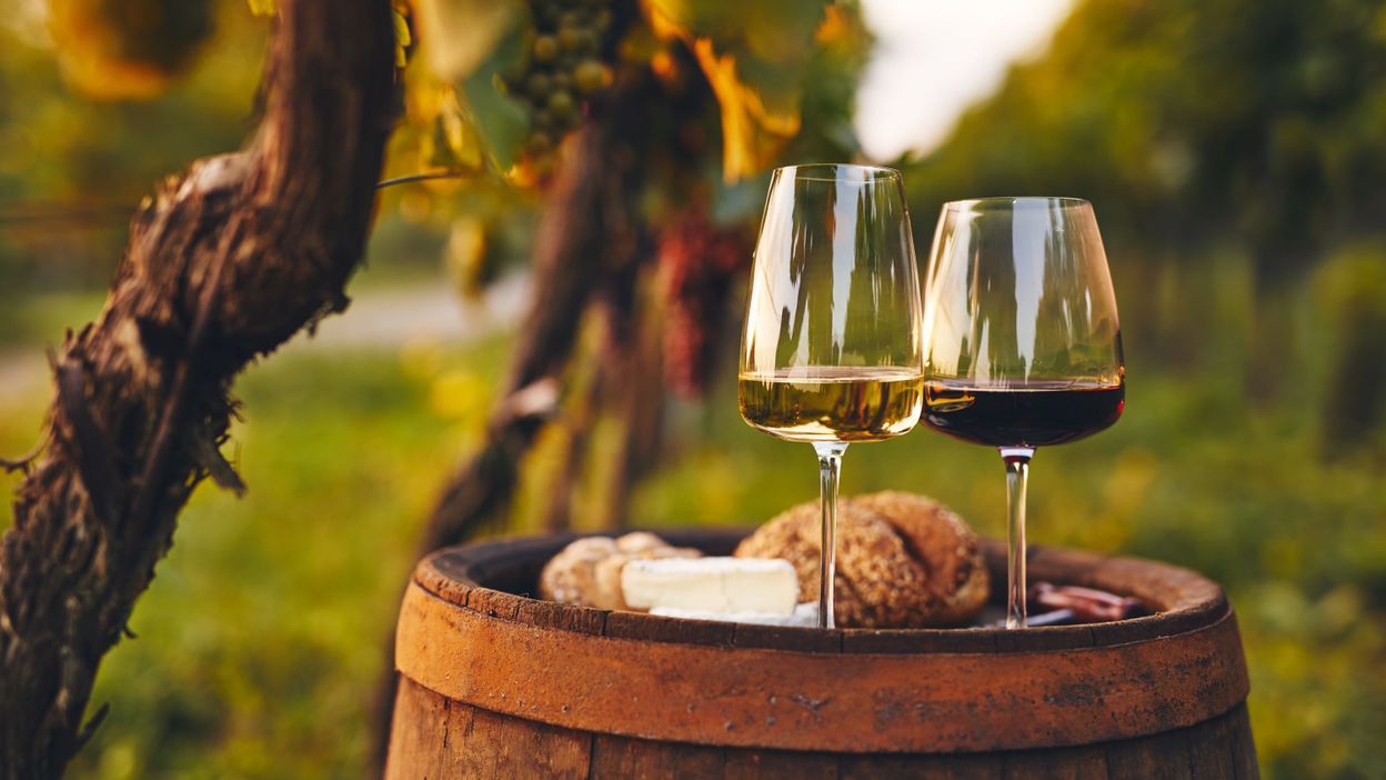 Boire du vin... en méditation une expérience immersive qui stimule vos sens RTBF Actus