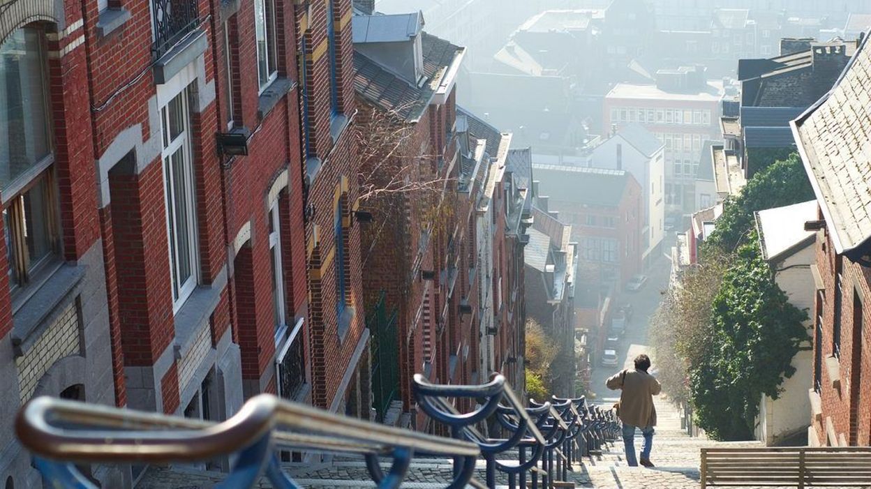 Que faire à Andenne, la 'cité des ours' ? - RTBF Actus