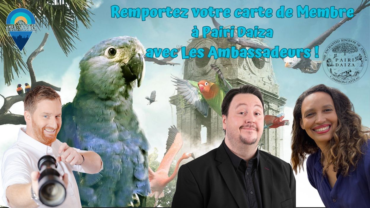 Les ambassadeurs RTBF Actus