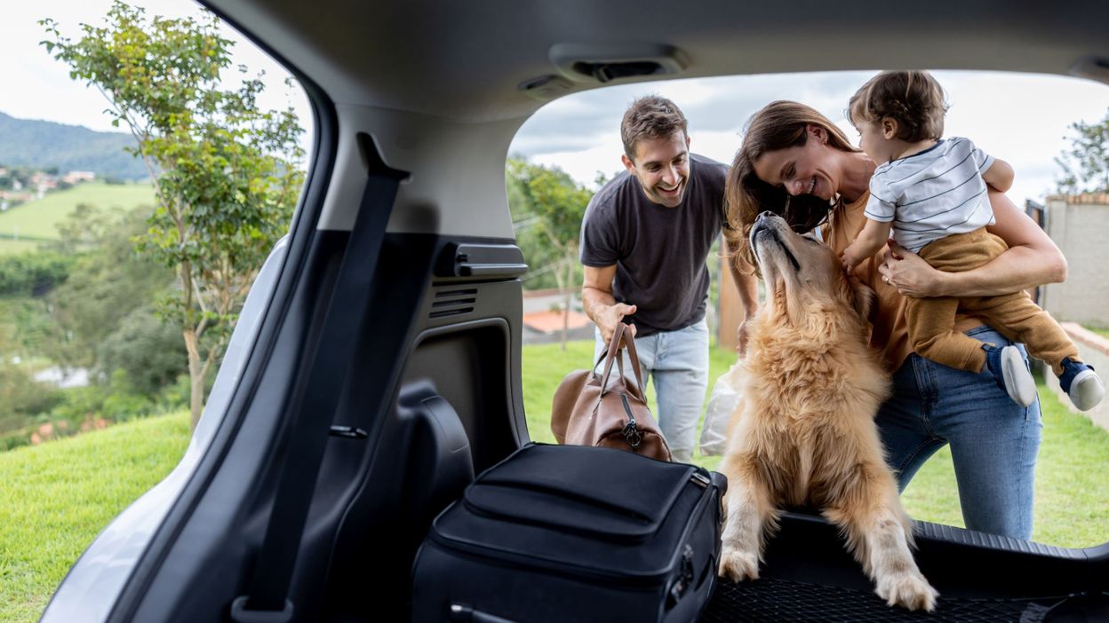 Voisinage quelles sont les races de chien qui aboient le moins ? rtbf.be