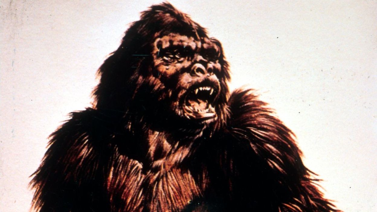 Le Yeti Existe T Il Vraiment