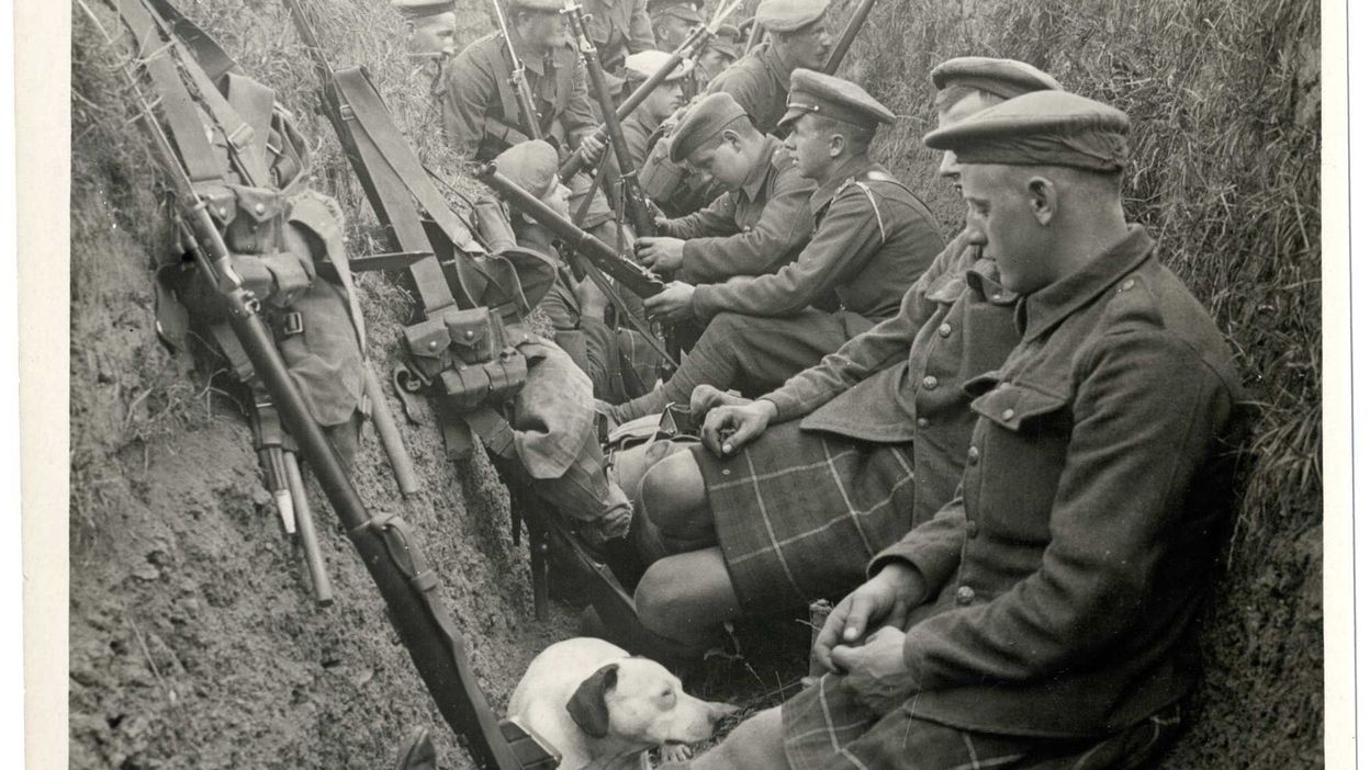 Première Guerre Mondiale Les Soldats Britanniques Se Battaient Un Jour Sur Cinq Rtbf Actus 9780
