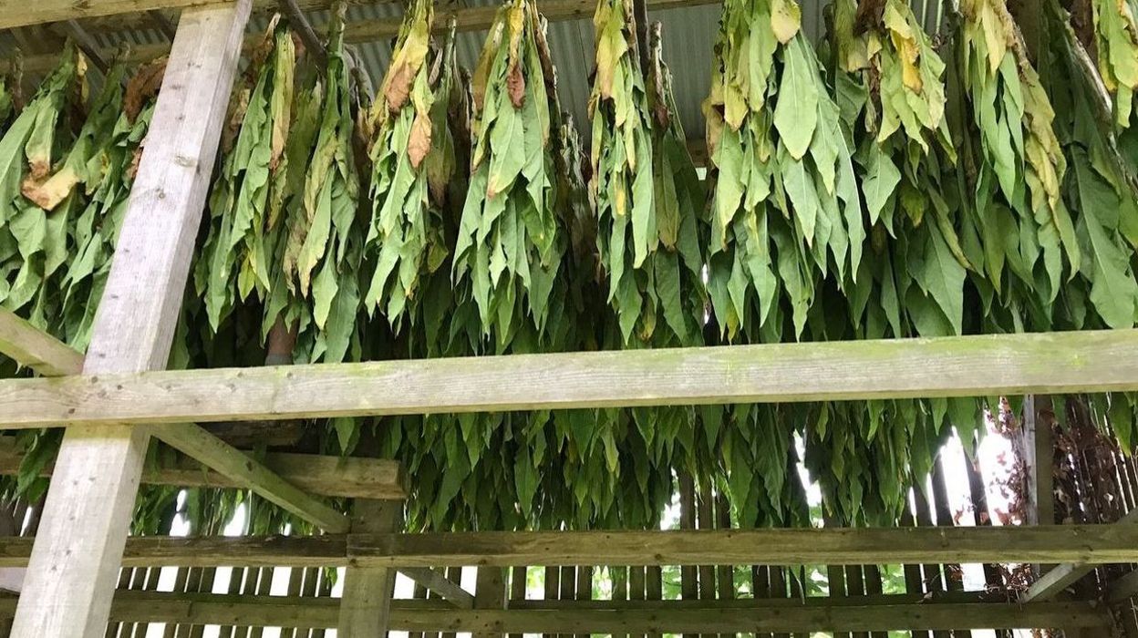 Connaissez vous le tabac de la Semois ? Et Bouillon au Siècle des