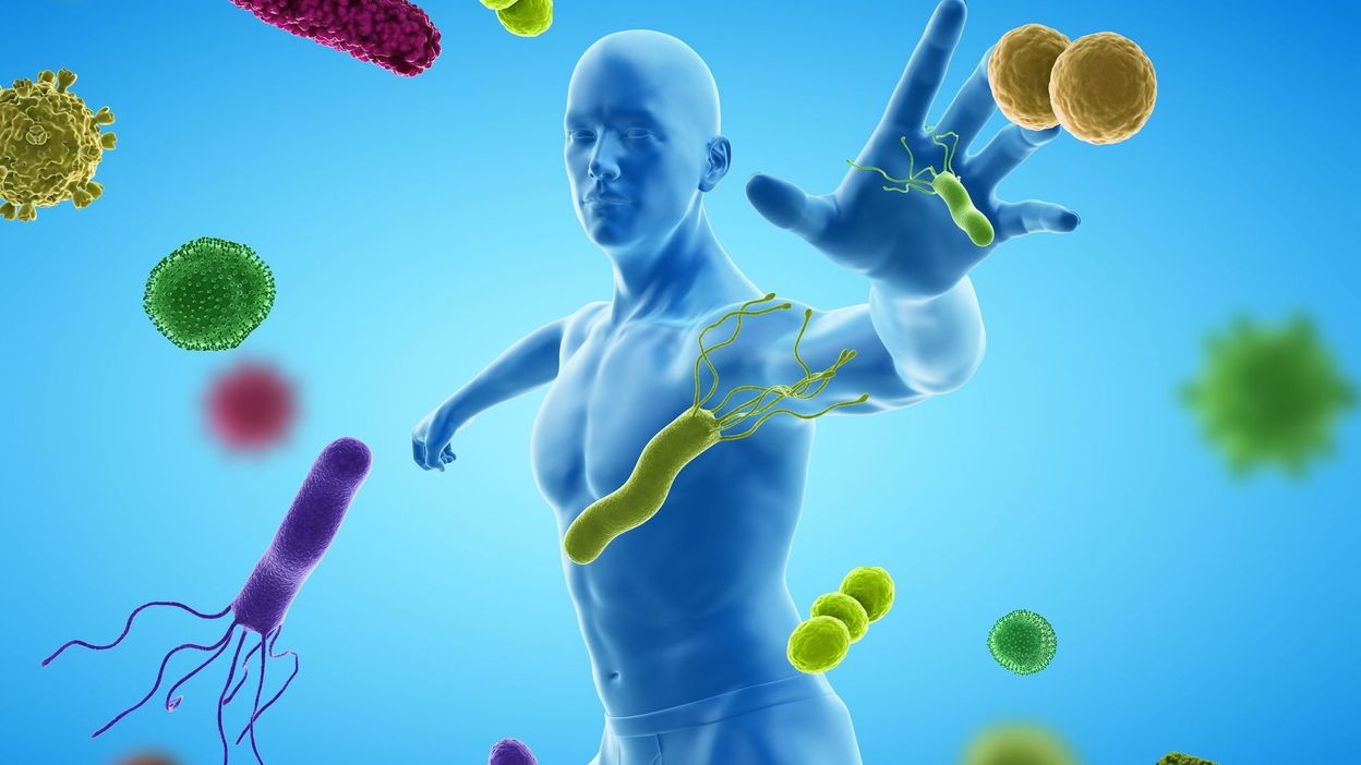 Tabagisme : un impact sur le systme immunitaire jusqu' quinze ans aprs  l'arrt - RTBF Actus