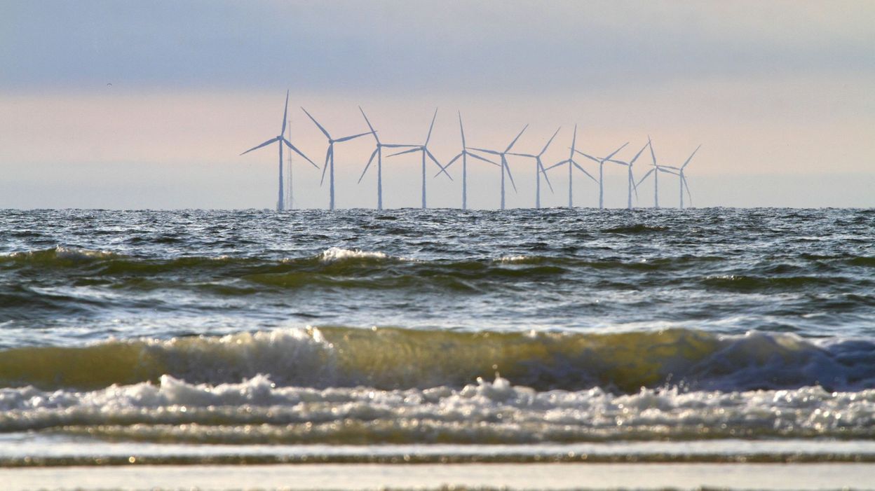 Une zone de vie marine inattendue découverte dans les eaux belges de la
