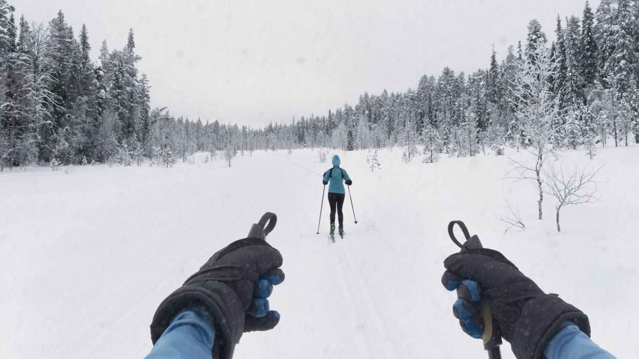 Où sont passés les bonhommes de neige ? La disparition de la neige, une ...