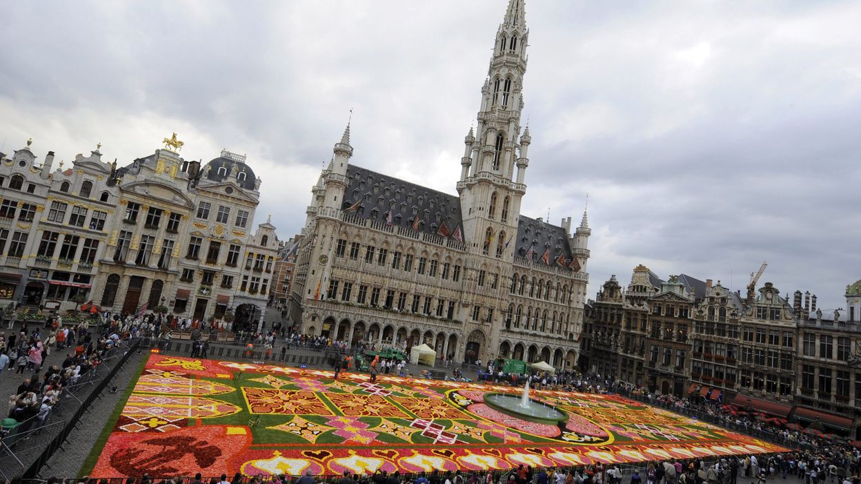 Un tapis de fleurs sur la plus belle place du monde rtbf.be