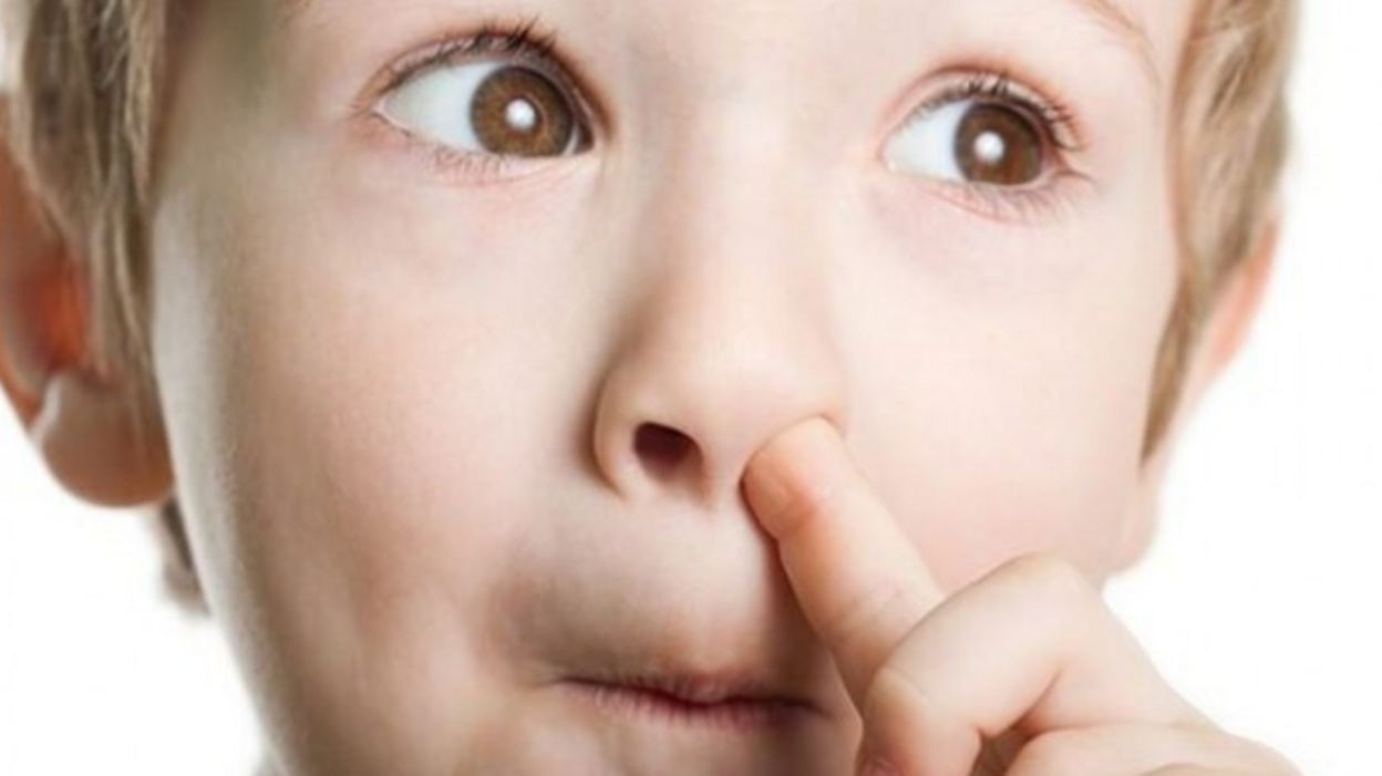 Se décrotter le nez est dangereux pour la santé ! RTBF Actus