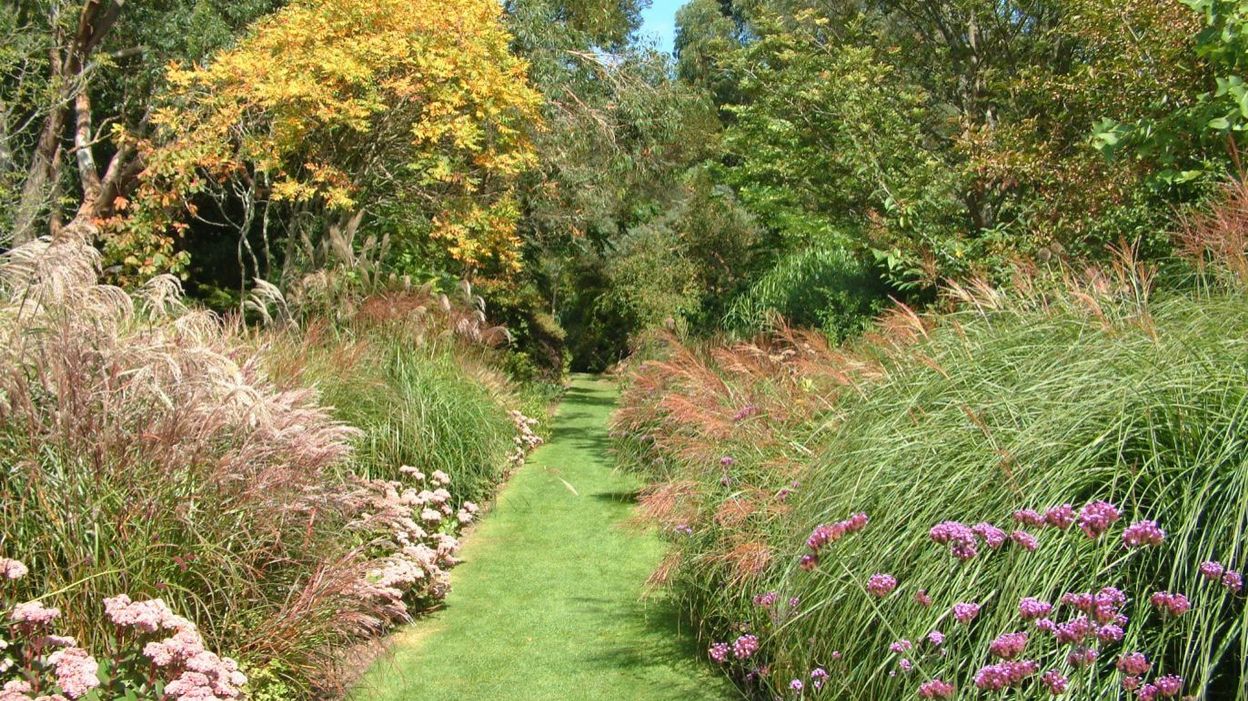 Un jardin de démonstration spécialisé en graminées - RTBF Actus