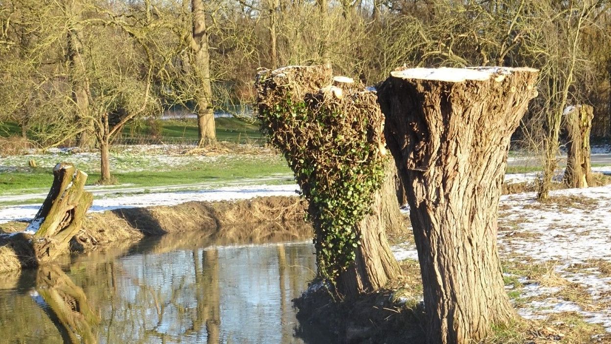 Les 11 marches Adeps du dimanche 19 janvier en Wallonie - RTBF Actus