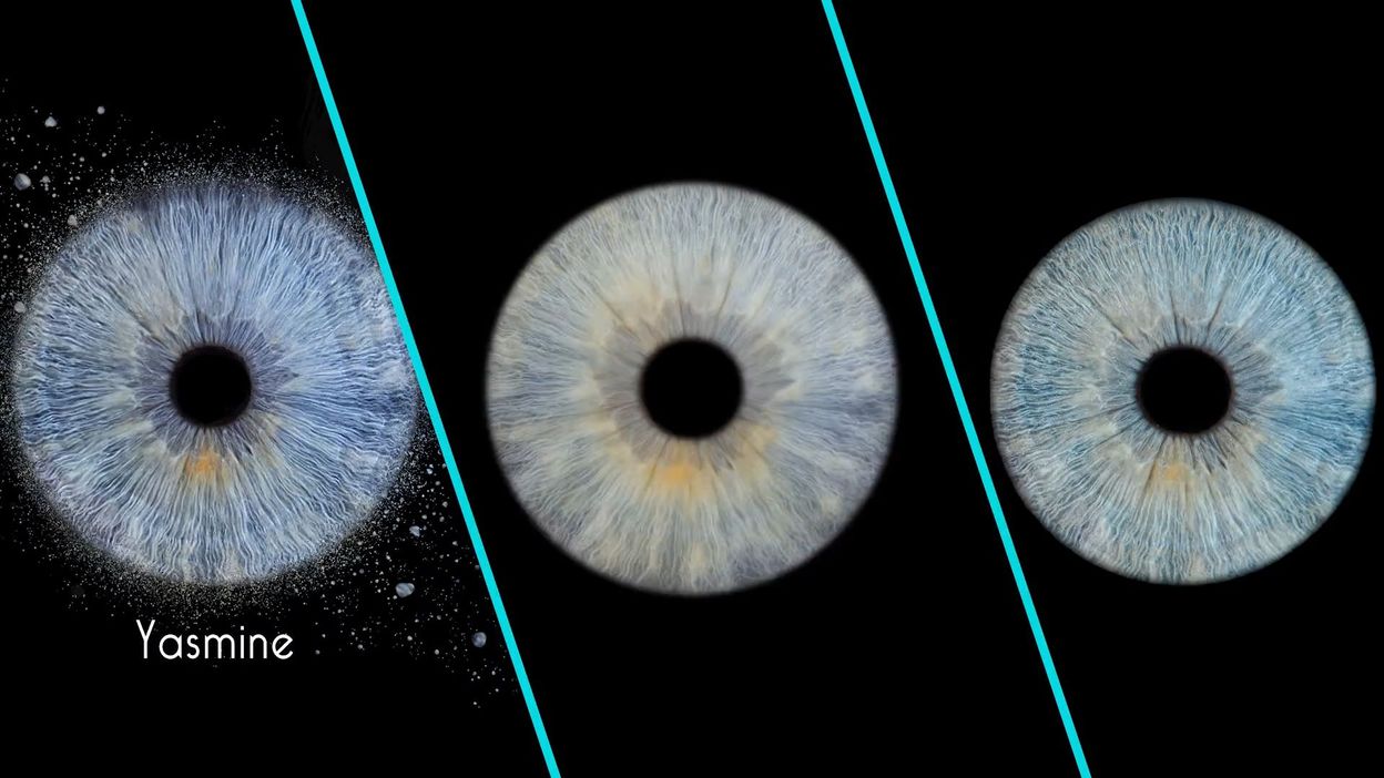 Quelle est la couleur des yeux la plus rare au monde ? RTBF Actus