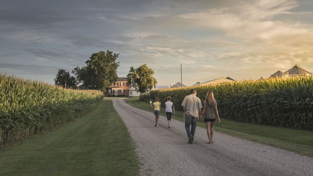 Sécurité Routière : Les passages piétons, règles et obligations - RTBF ...