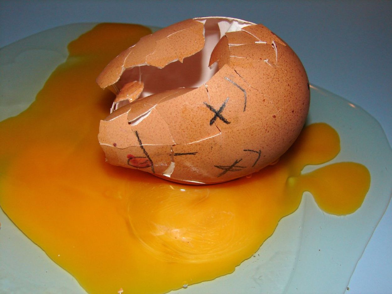 On Ne Fait Pas Domelette Sans Casser Des Oeufs La chronique européenne: on ne fait pas d'omelette sans casser des oeufs...  - rtbf.be