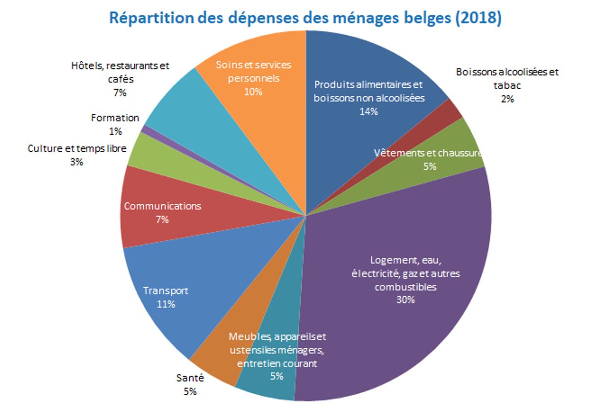 Comment les ménages belges dépensent-ils leur budget annuel ? - RTBF Actus