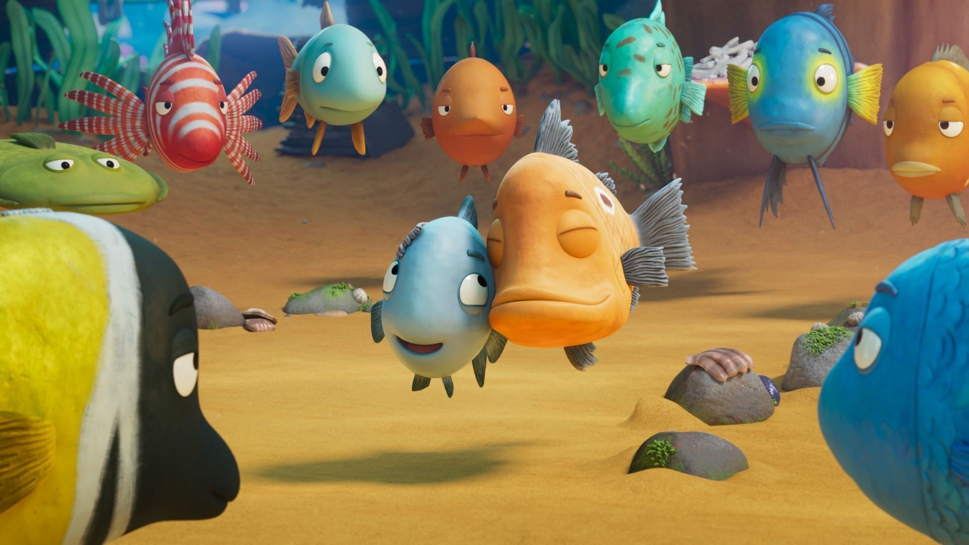Remporte tes places pour le film Timioche dans les cinémas Grignoux avec Auvio Kids