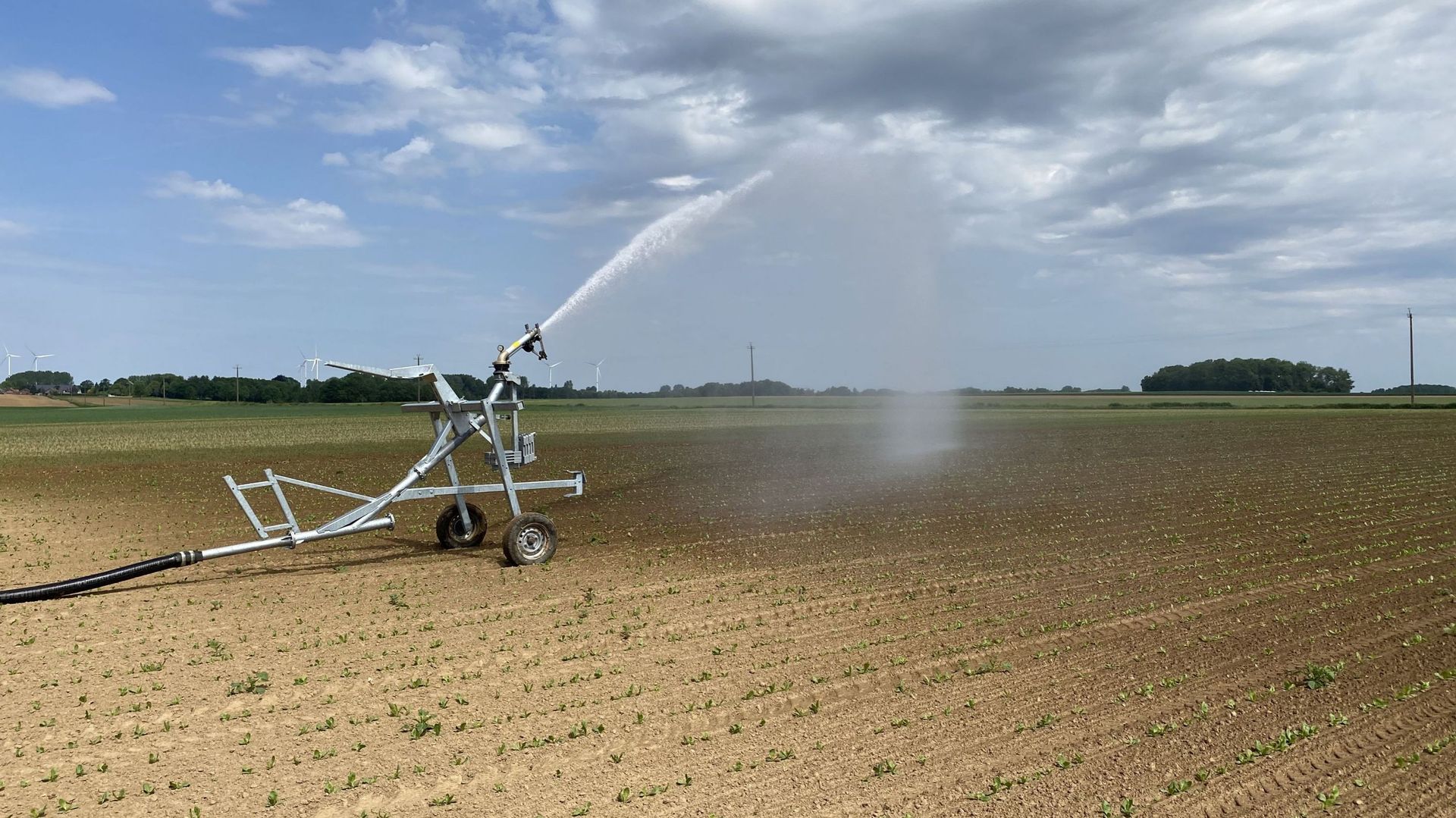 L’irrigation peut être très utile en cas de sécheresse mais elle ne peut pas être appliquée à toutes les cultures