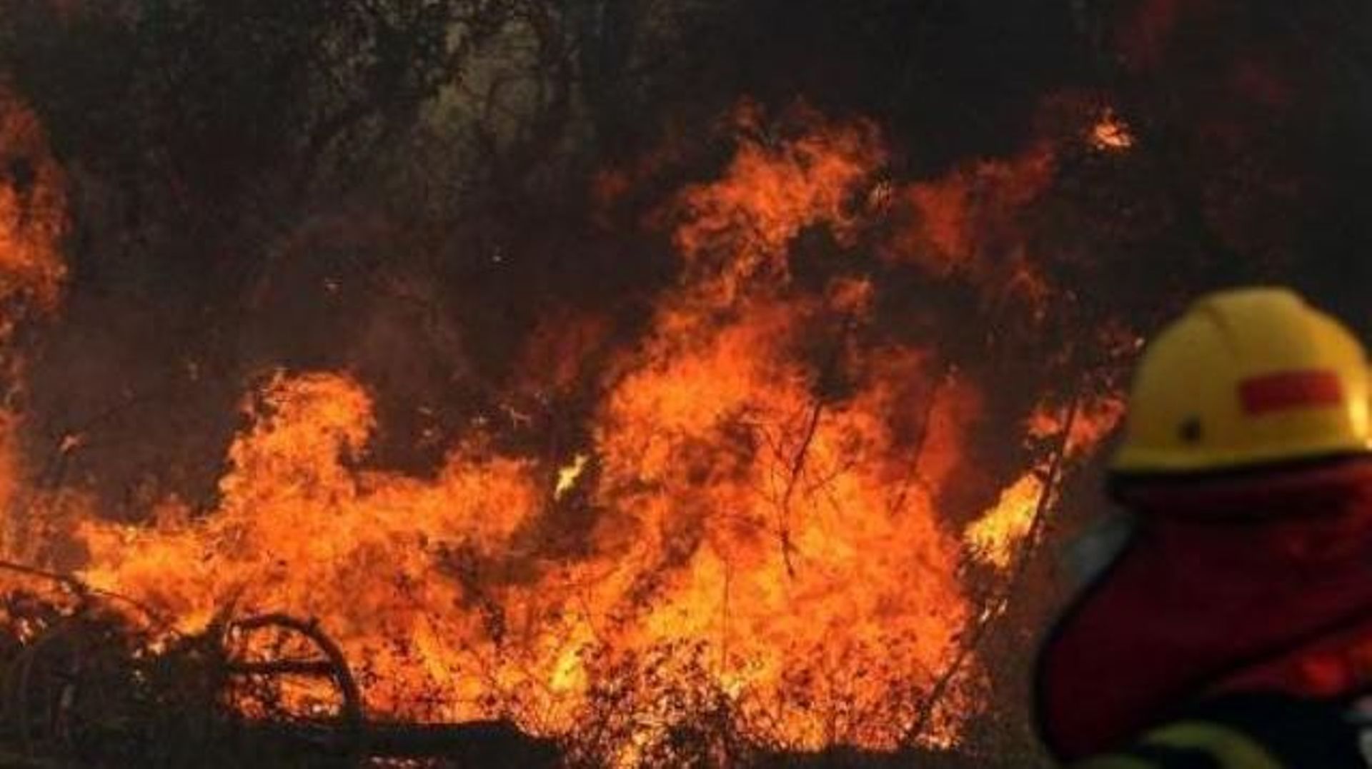 bresil-bolsonaro-etudie-l-envoi-de-l-armee-pour-lutter-contre-les-incendies-incontroles