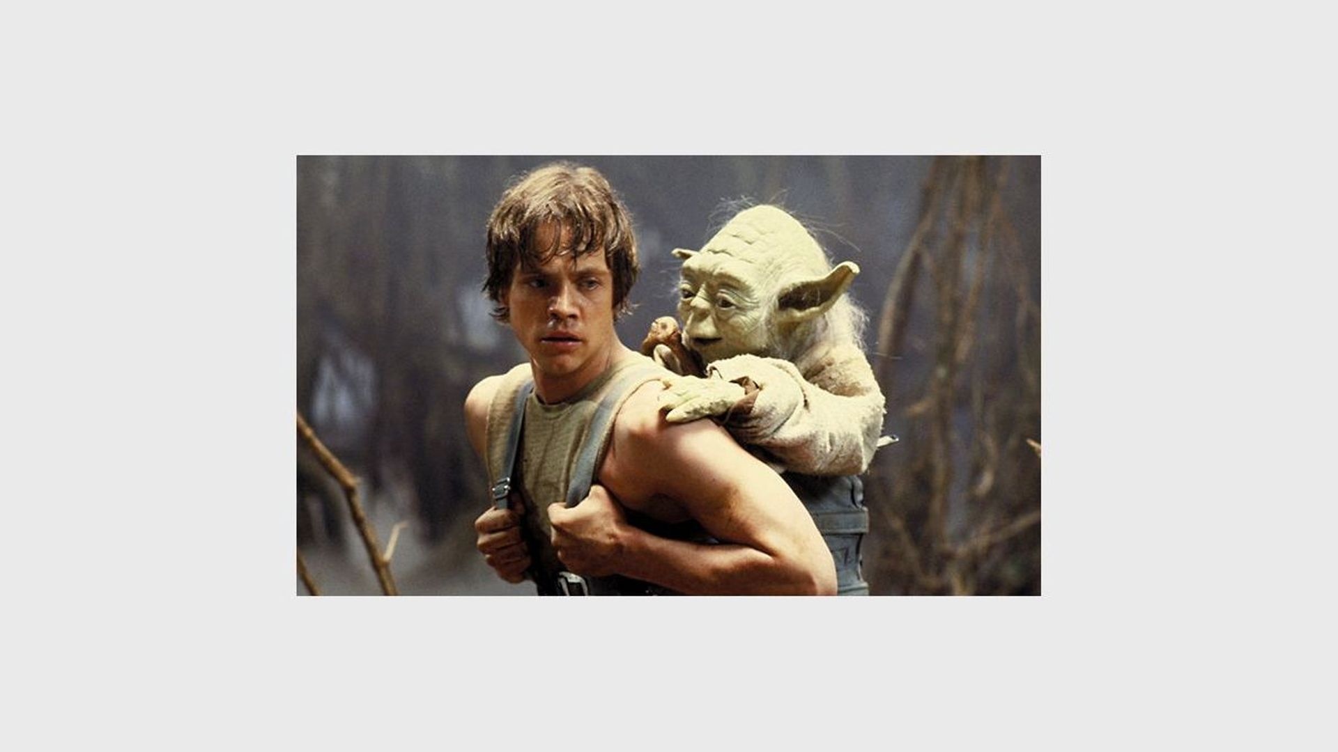 Yoda a fait sa première apparition au cinéma en 1980 dans "L'Empire contre-attaque", inculquant son enseignement à Luke Skywalker