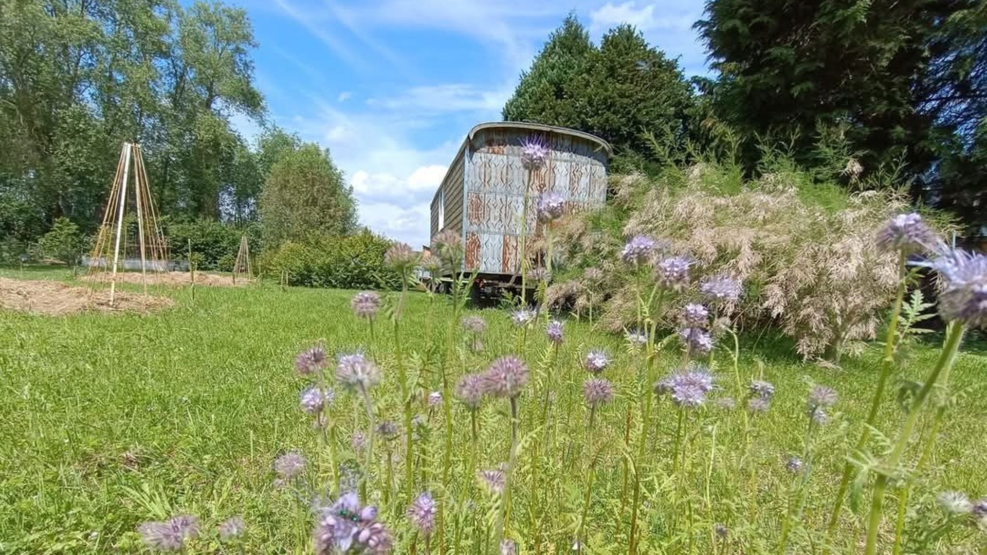 Le Jardin Improbable : un îlot de biodiversité et de lien social en