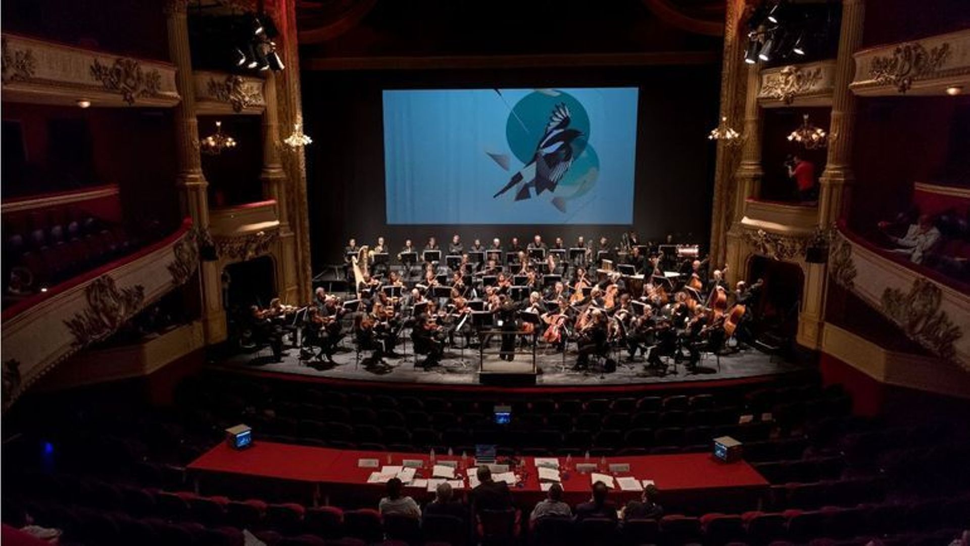 A Liège, quatre grandes salles de spectacles, dont l'Opéra Royal de Wallonie pourront bientôt accueillir plus de spectateurs que ce qui a été décidé par le fédéral. 