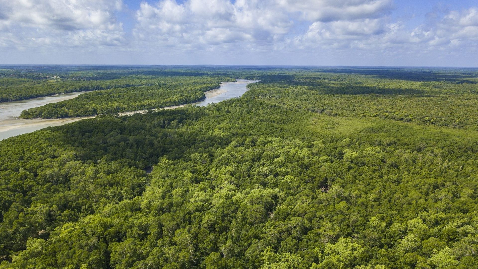 Protéger l'Amazonie est aussi un enjeu de santé majeur.