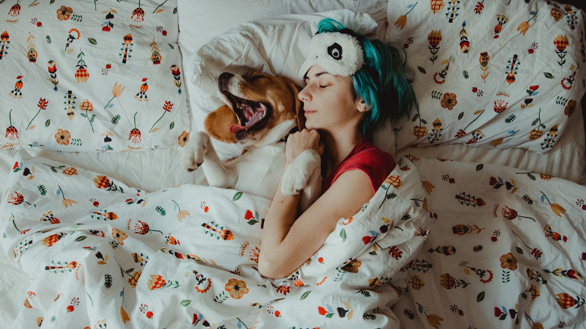 Ecrans, sieste, sophrologie : des pratiques à la portée de tous pour bien dormir