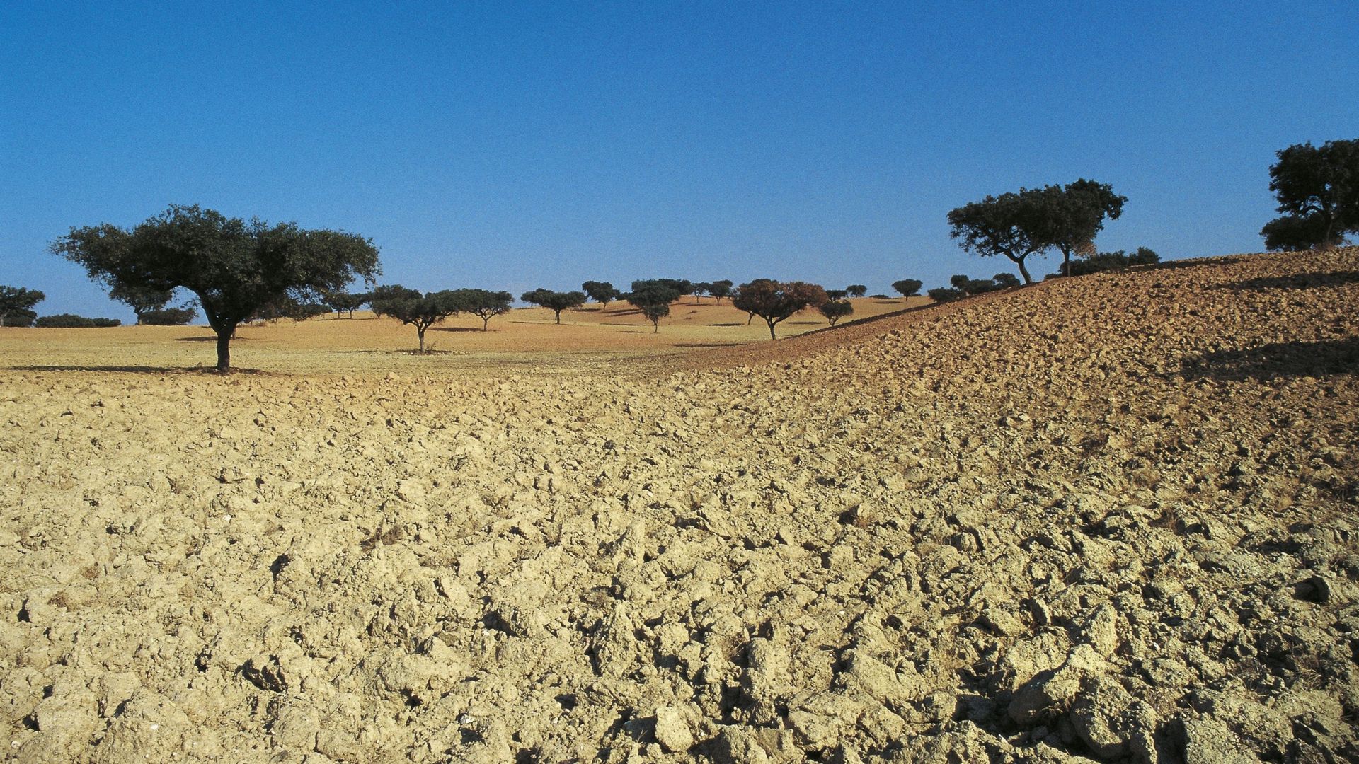 Ici le monde : face à la sécheresse, l'autoroute de l'eau fait son ...