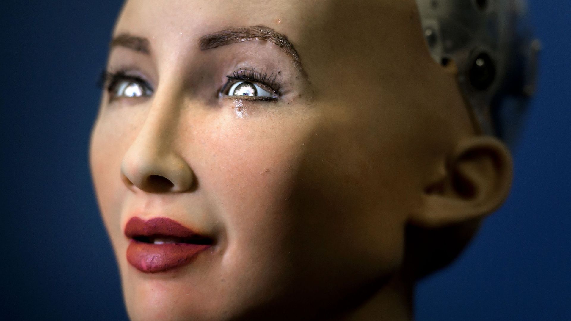 des robots logiciels dialogueront avec les contribuables sous forme de conversations automatisées intelligentes. Mais rassurez-vous, les E-fonctionnaires n'auront pas ce visage-là. Ce seront de simple logiciels.