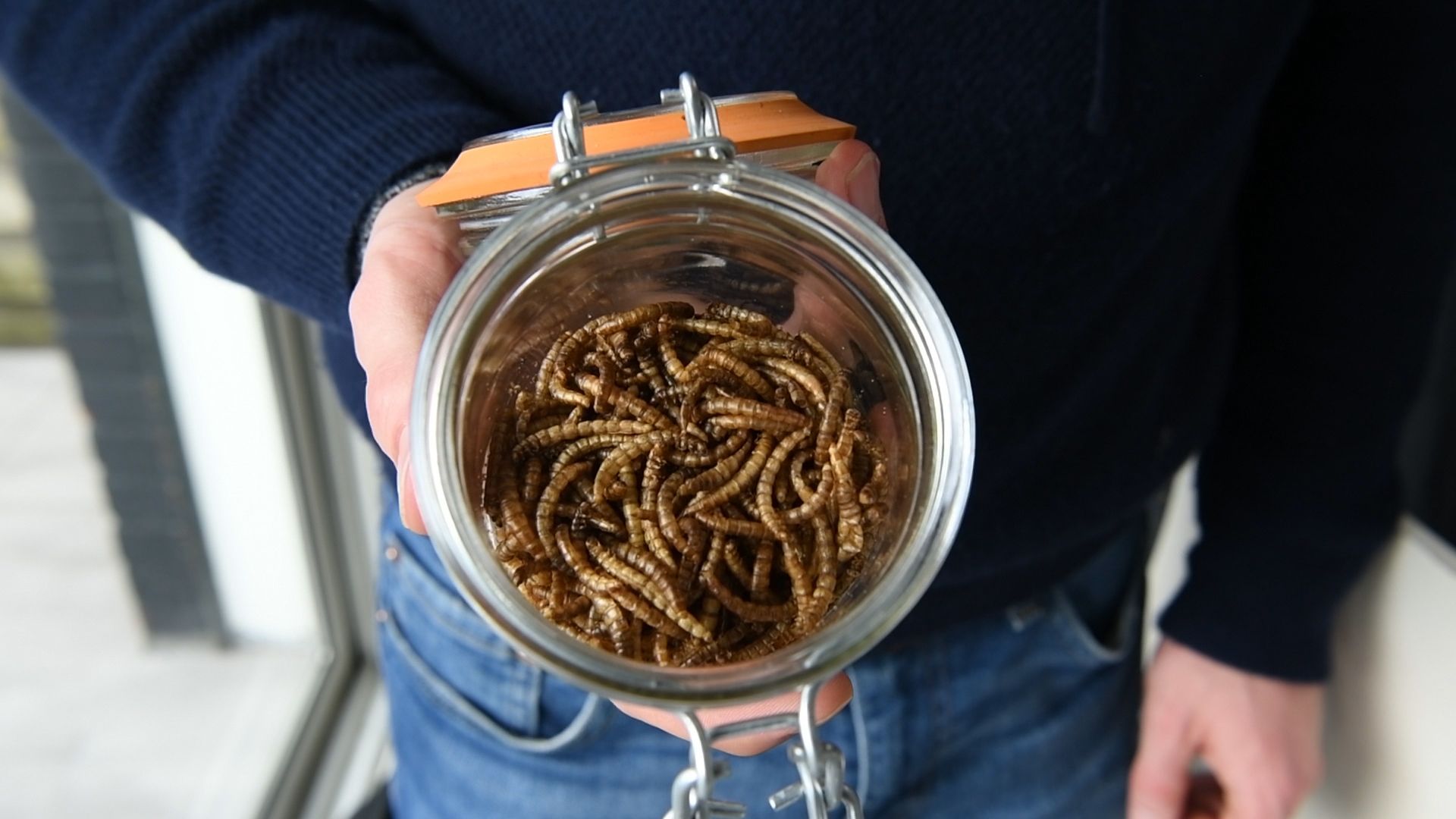 Minus Farm, des insectes comestibles pour une alimentation durable.