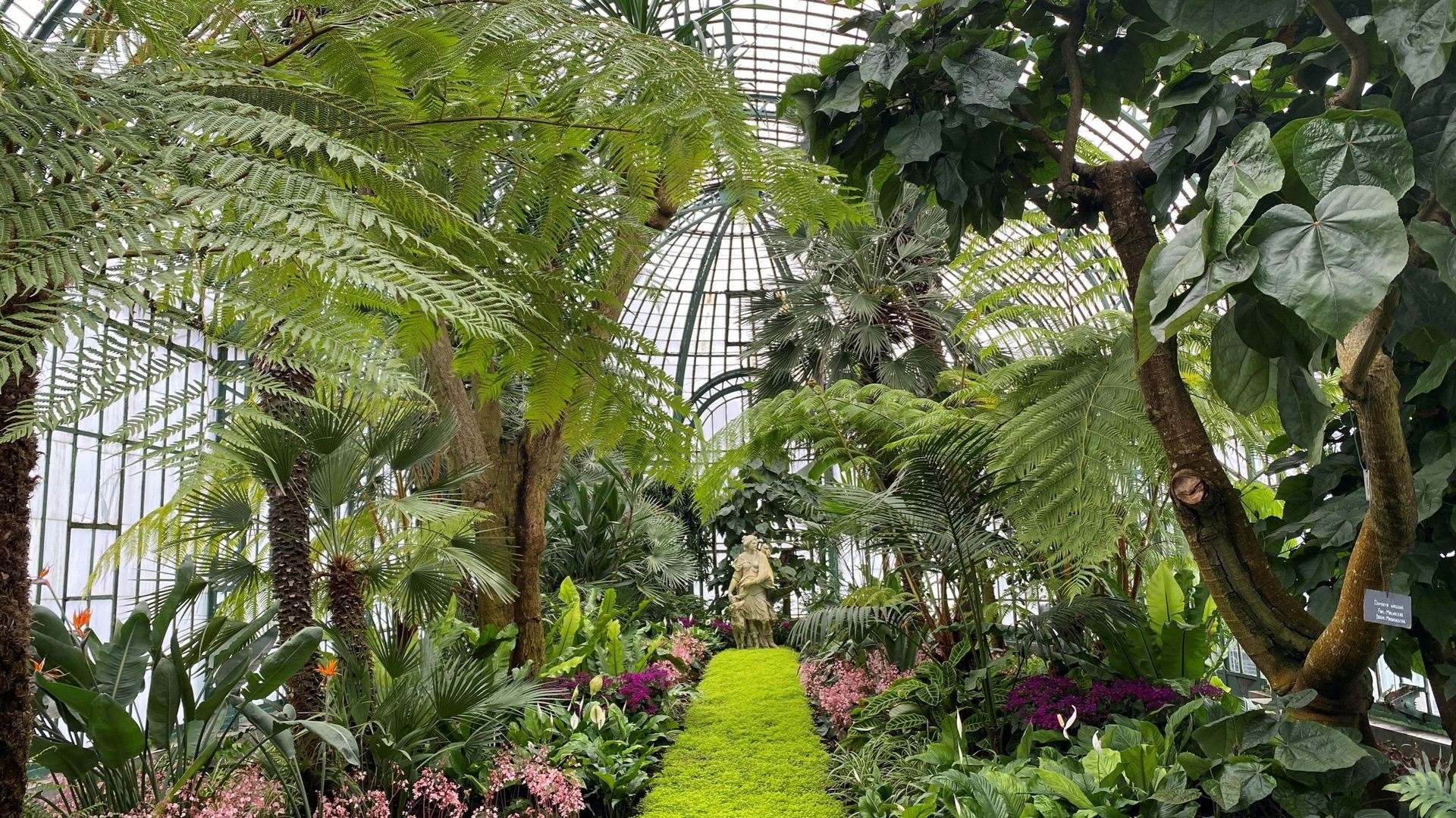 Les Serres royales de Laeken accessibles au public du 18 avril au 11 — free download
