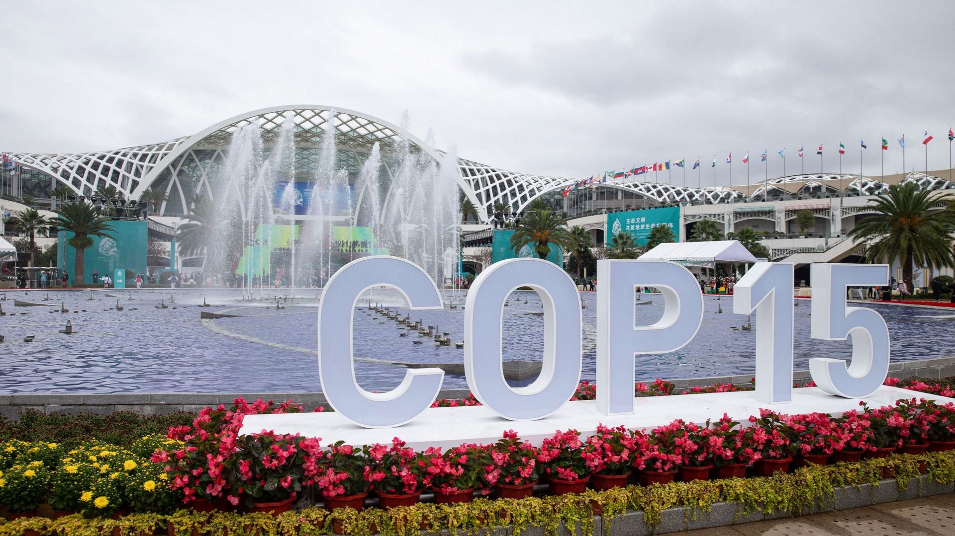 La première partie de la COP15 a eu lieu à Kunming, en Chine, durant le mois d'octobre 2021. 
