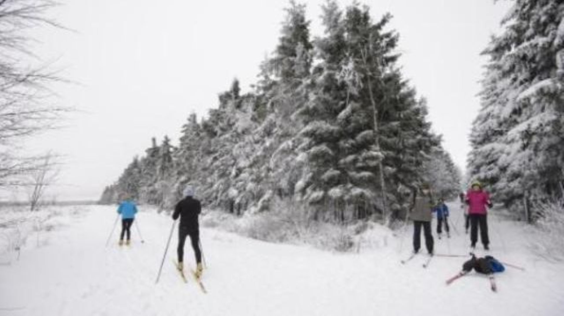 Ski de fond: un sport qui vous veut du bien