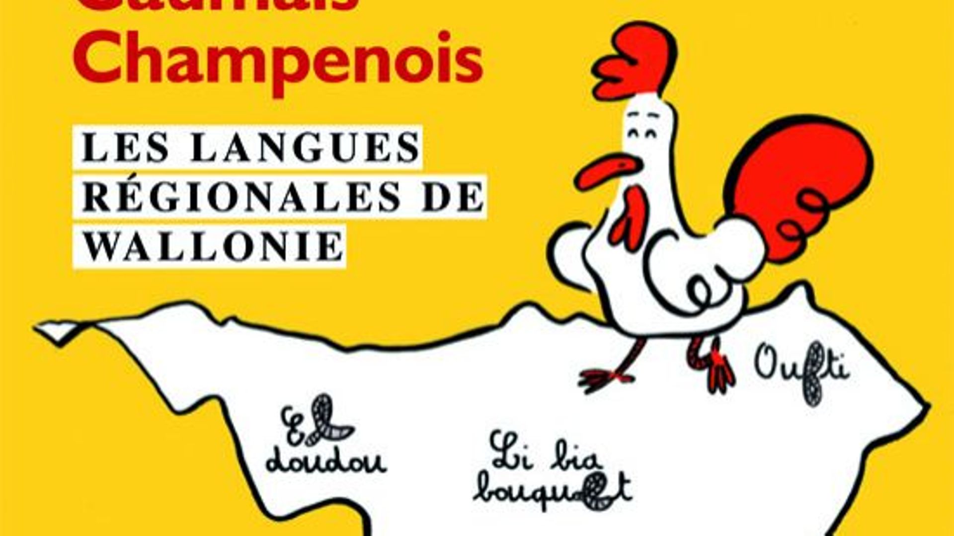 Fait De Langue Propre Au Wallon En 10 Lettres Vous êtes perdus en wallon liégeois? Voici le dictionnaire - RTBF Actus
