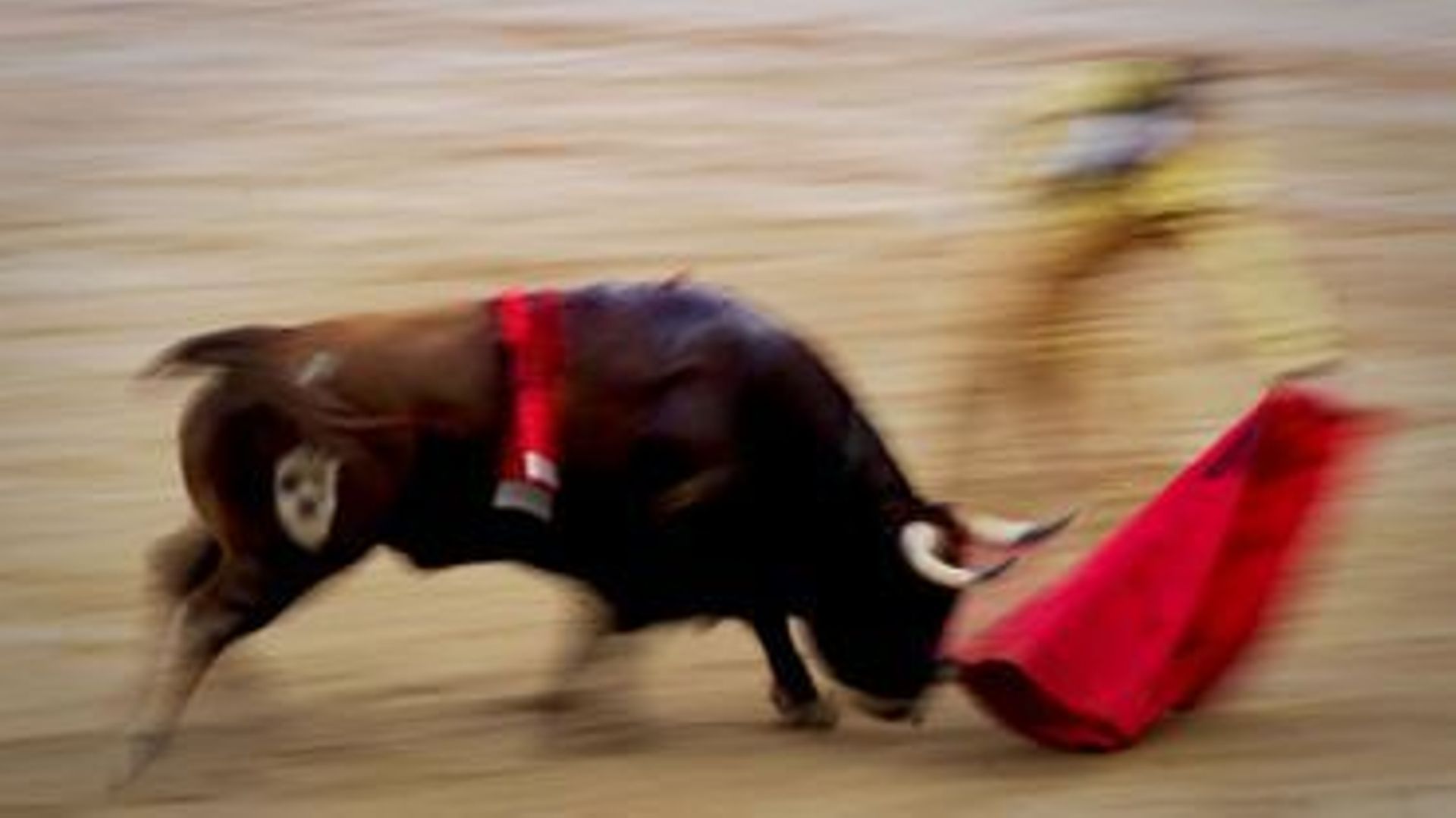 Espagne: des milliers de personnes manifestent pour la suppression de la tauromachie