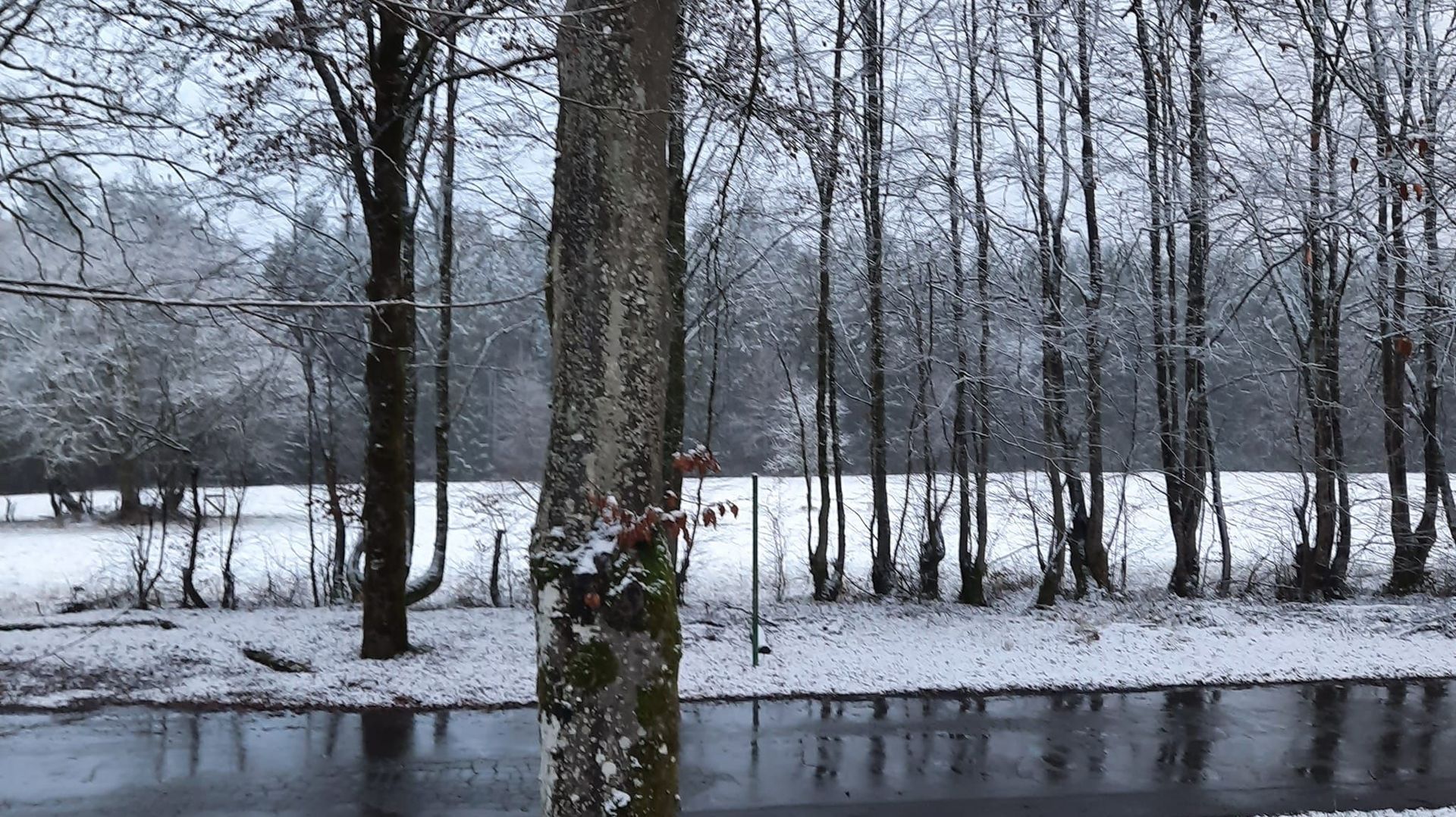 Encore quelques cm de neige en Ardenne