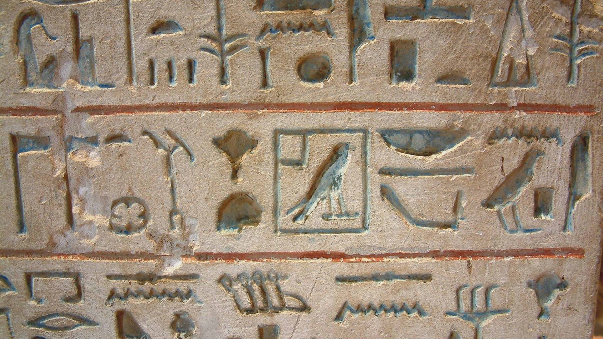 Hiéroglyphes conservés au musée du Louvre. Les lignes de séparation en rouge indiquent que le texte est horizontal. Les oiseaux regardent vers la droite : il faut donc lire le texte de droite à gauche.