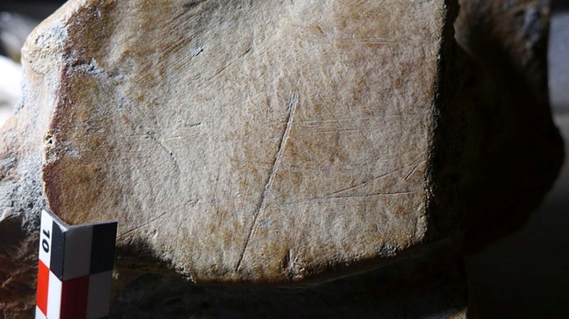 Image non datée fournie par l’université de Leyde aux Pays-bas montrant des entailles dans un os d’éléphant à défenses droites, ayant selon une étude été chassé par des Hommes de Néandertal